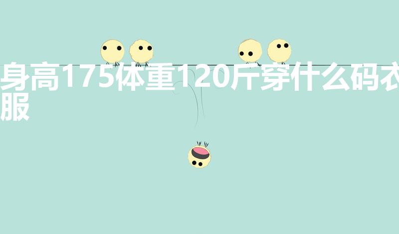 身高175体重120斤穿什么码衣服
