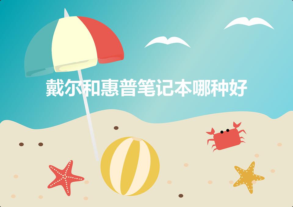 戴尔和惠普笔记本哪种好（戴尔电脑和惠普电脑哪个更好）