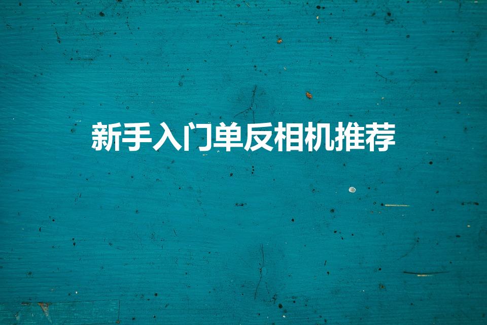 新手入门单反相机推荐（入门级单反相机有什么推荐的吗）