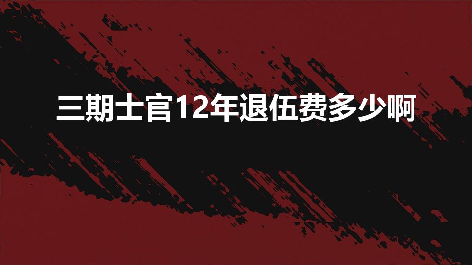 三期士官12年退伍费多少啊（当兵12年有多少退伍费）