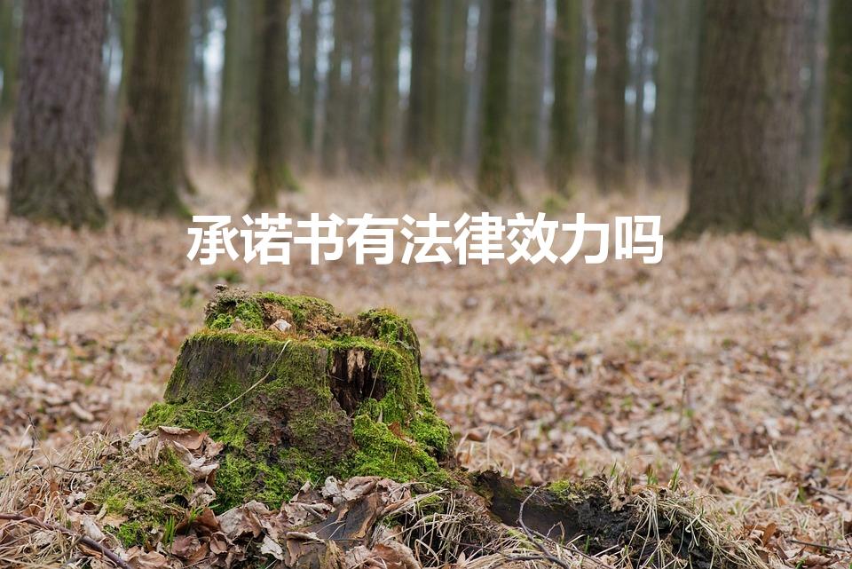 承诺书有法律效力吗（承诺书有没有法律效力）