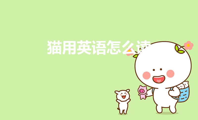 猫用英语怎么读（猫英文怎么读）