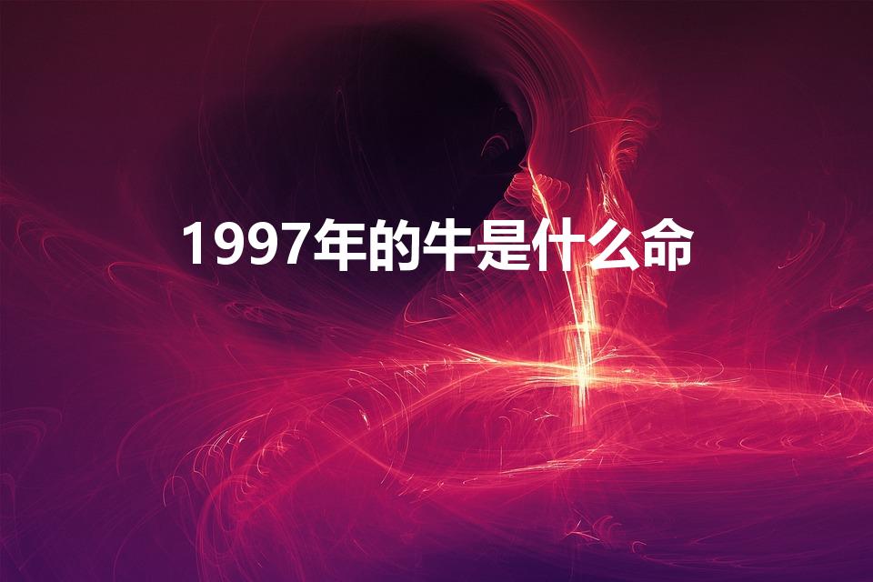 1997年的牛是什么命（97年的牛是什么命 五行属什么）