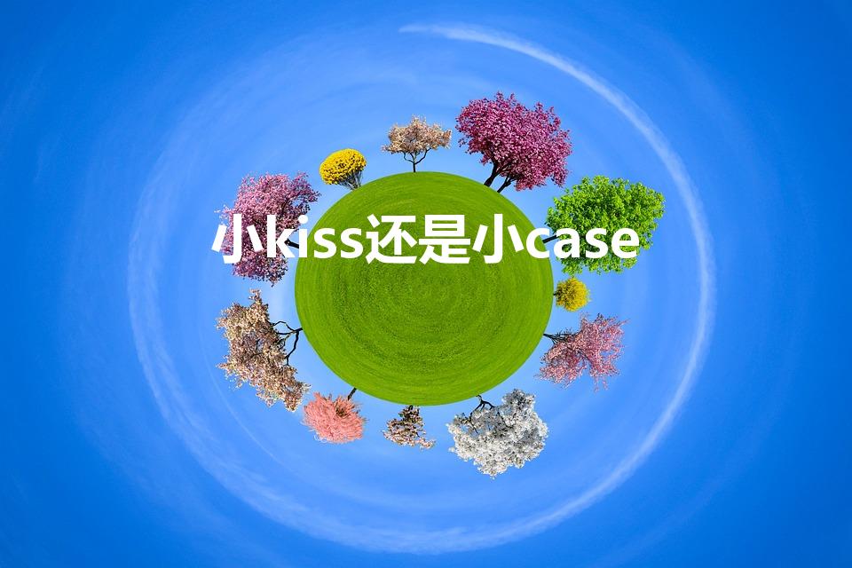 小kiss还是小case（小kiss是什么意思）