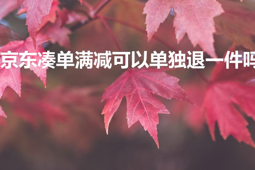 京东凑单满减可以单独退一件吗（京东凑单可以单独退一件吗）
