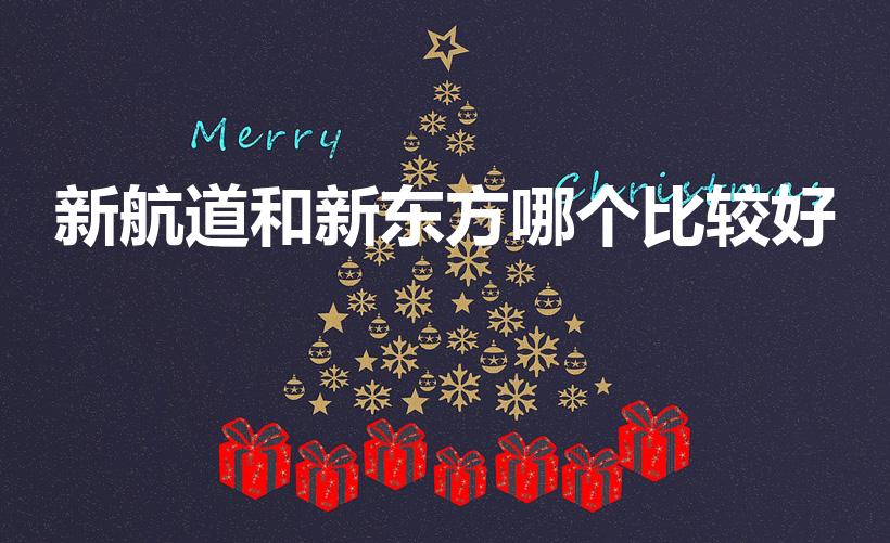 新航道和新东方哪个比较好（雅思培训班网上哪个好）
