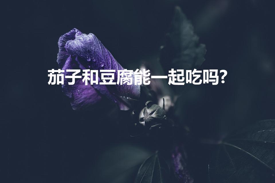 茄子和豆腐能一起吃吗?（茄子和豆腐能同吃吗）