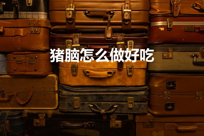 猪脑怎么做好吃（猪脑怎么做好吃又营养）