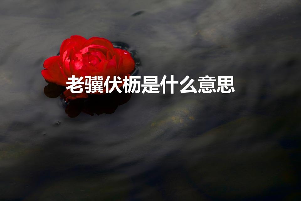 老骥伏枥是什么意思（老骥伏枥的意思是什么）
