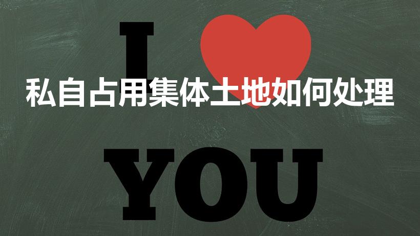 私自占用集体土地如何处理（占用集体土地怎么处理）
