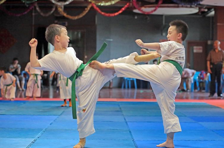 跆拳道和武术哪个适合小孩子（哪个更适合儿童？）