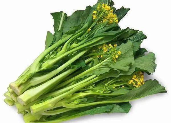 菜心在北方叫什么（北方如何称呼菜心）