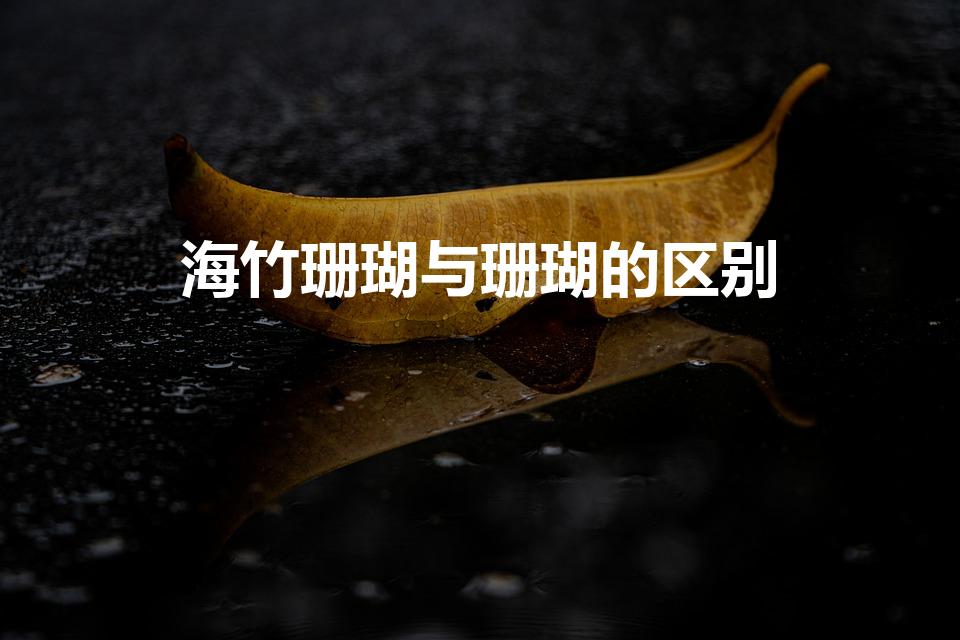 海竹珊瑚与珊瑚的区别（海竹珊瑚与珊瑚的区别是什么）