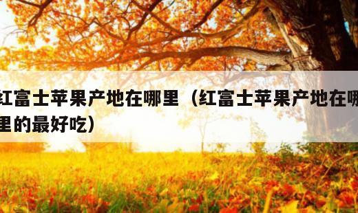 红富士苹果产地在哪里？红富士苹果产地在哪里的最好吃