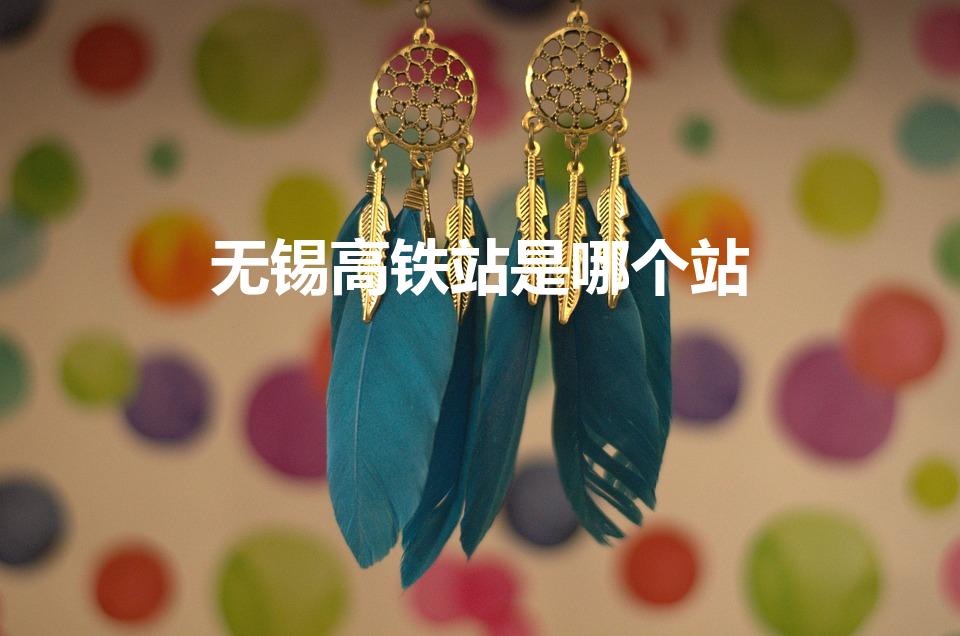 无锡高铁站是哪个站（无锡有几个高铁站呢）