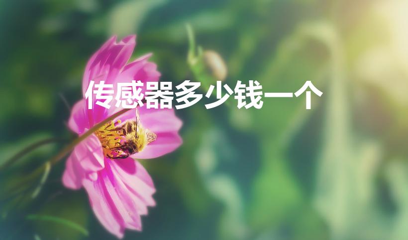 传感器多少钱一个（现在一个传感器大概是()块钱。）