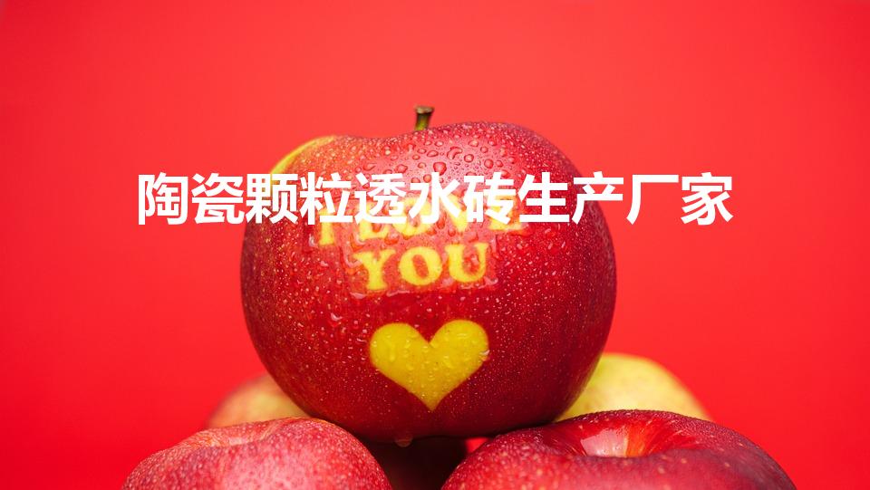 陶瓷颗粒透水砖生产厂家（陶粒透水砖生产厂家）