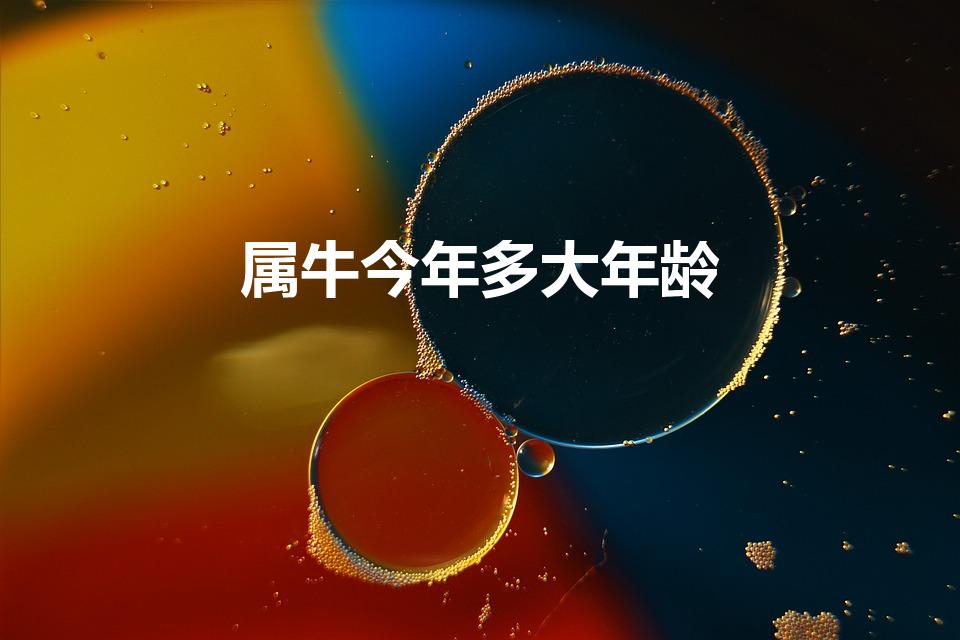 属牛今年多大年龄（属牛的今年多大了2023年）
