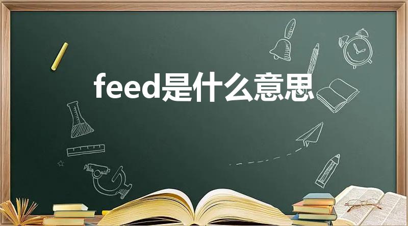 feed是什么意思（feed是什么意思中文）