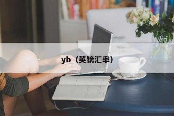 女孩子说yb是什么意思