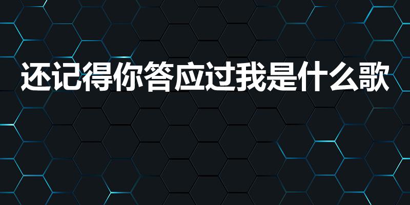 还记得你答应过我是什么歌
