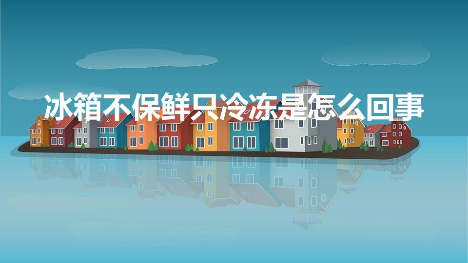 冰箱不保鲜只冷冻是怎么回事（冰箱不保鲜只冷冻怎么回事）
