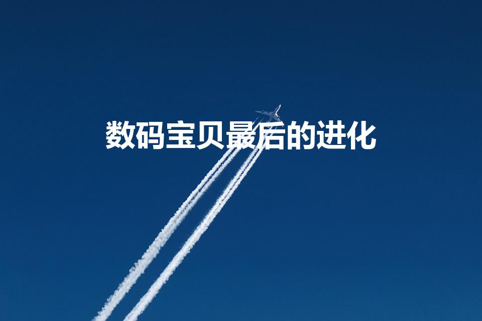 数码宝贝最后的进化（数码宝贝最后的进化进化成什么）
