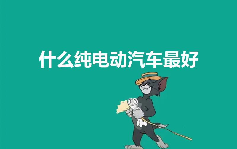 什么纯电动汽车最好（哪款纯电动汽车比较好）