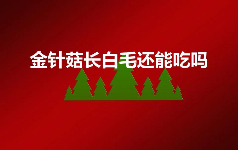 金针菇长白毛还能吃吗（金针菇长白毛了还能吃吗）
