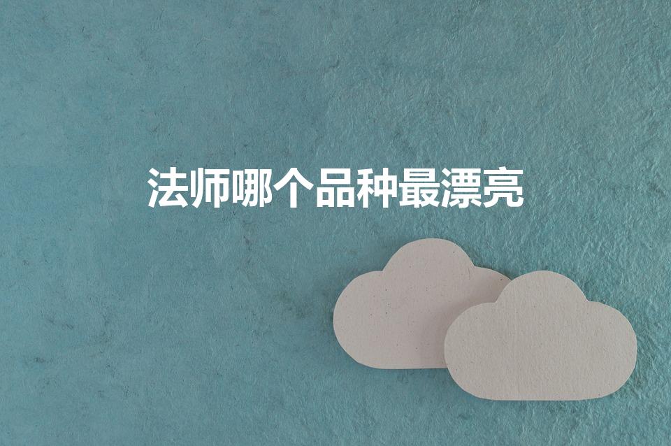 法师哪个品种最漂亮（多肉法师哪个品种漂亮）