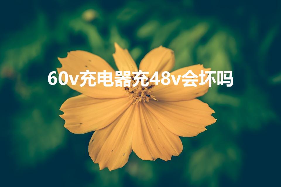 60v充电器充48v会坏吗