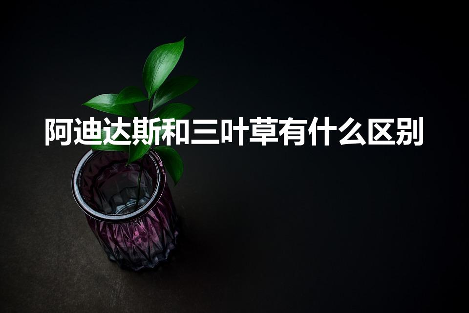 阿迪达斯和三叶草有什么区别（三叶草和阿迪达斯有什么区别）