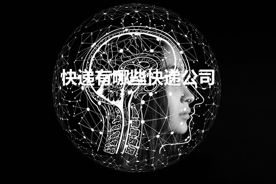 快递有哪些快递公司（快递公司都有哪些）