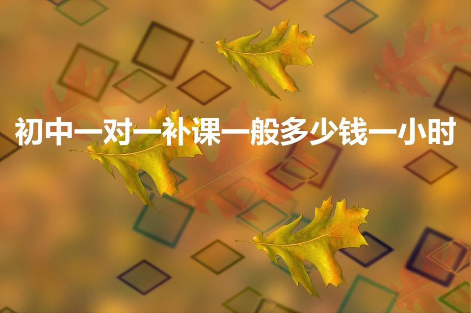 初中一对一补课一般多少钱一小时（一对一补习班怎么收费）