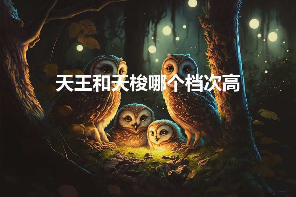 天王和天梭哪个档次高（天王表和天梭表哪个好,有什么区别）
