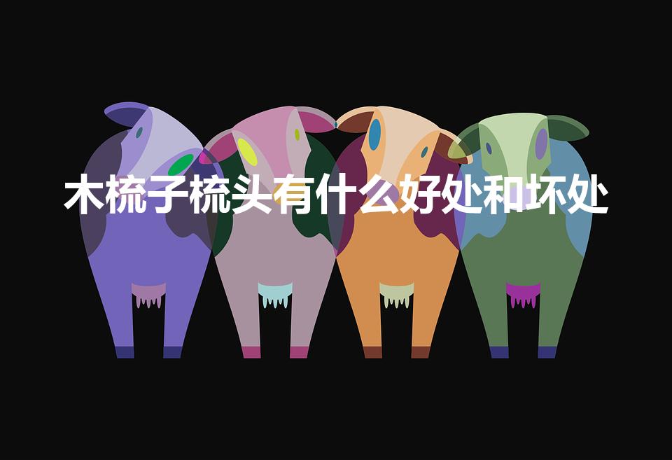木梳子梳头有什么好处和坏处（木梳子梳头有什么好处）