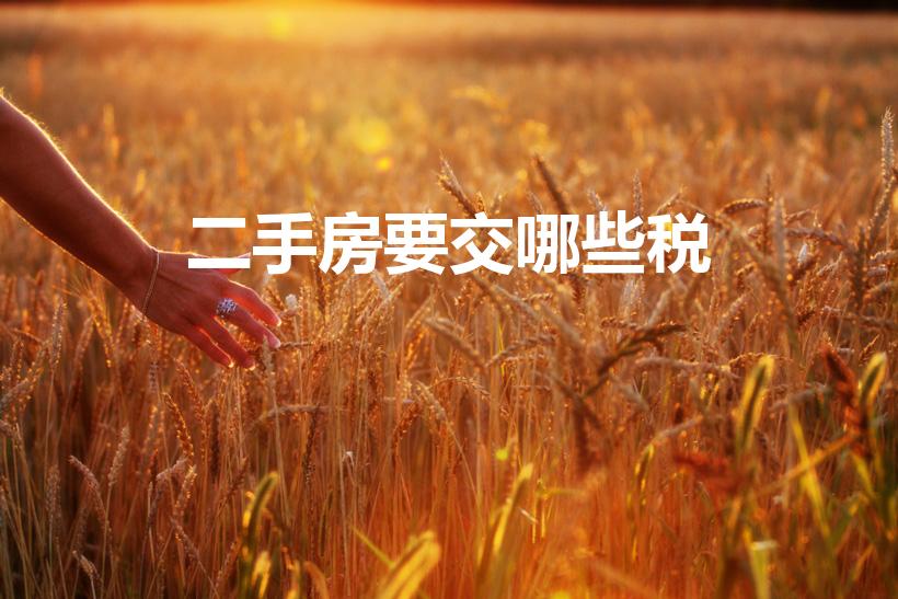 二手房要交哪些税（购买二手房需要交哪些税）