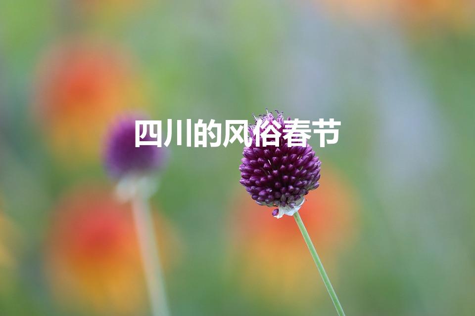 四川的风俗春节（四川过年的风俗有哪些）
