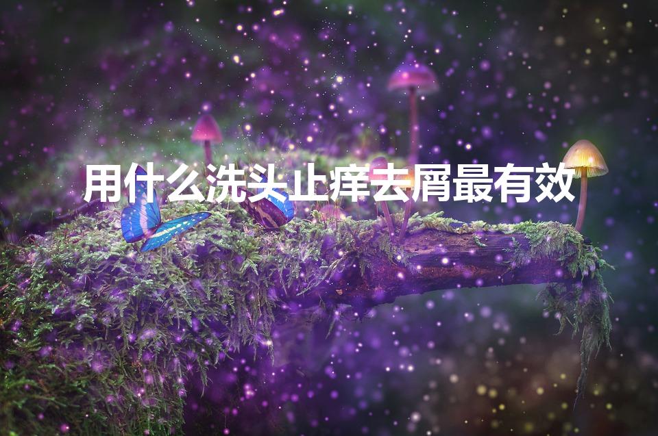 用什么洗头止痒去屑最有效（去屑止痒最好的洗发水排行榜）