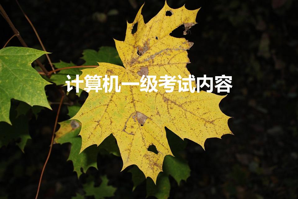 计算机一级考试内容（计算机一级考试内容是什么）