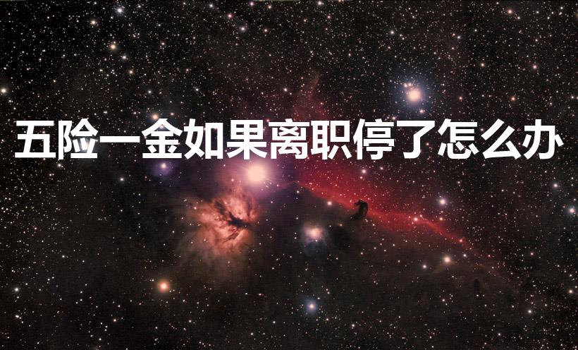 五险一金如果离职停了怎么办（五险一金离职后断交了怎么办）