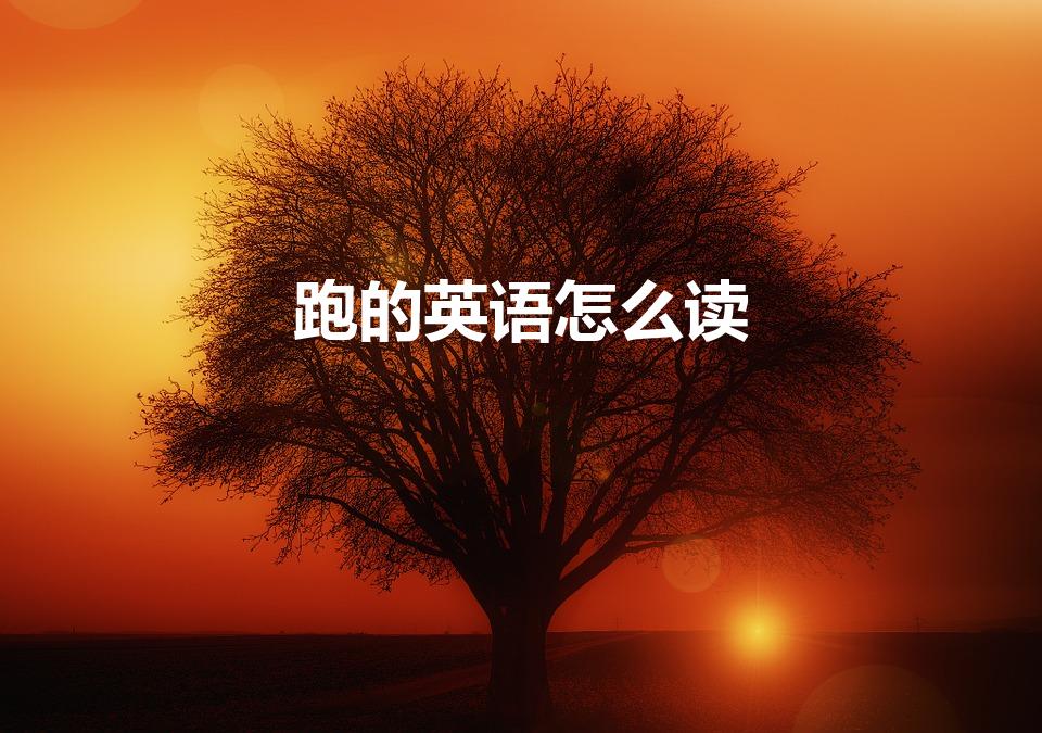 跑的英语怎么读（跑run英语怎么读）