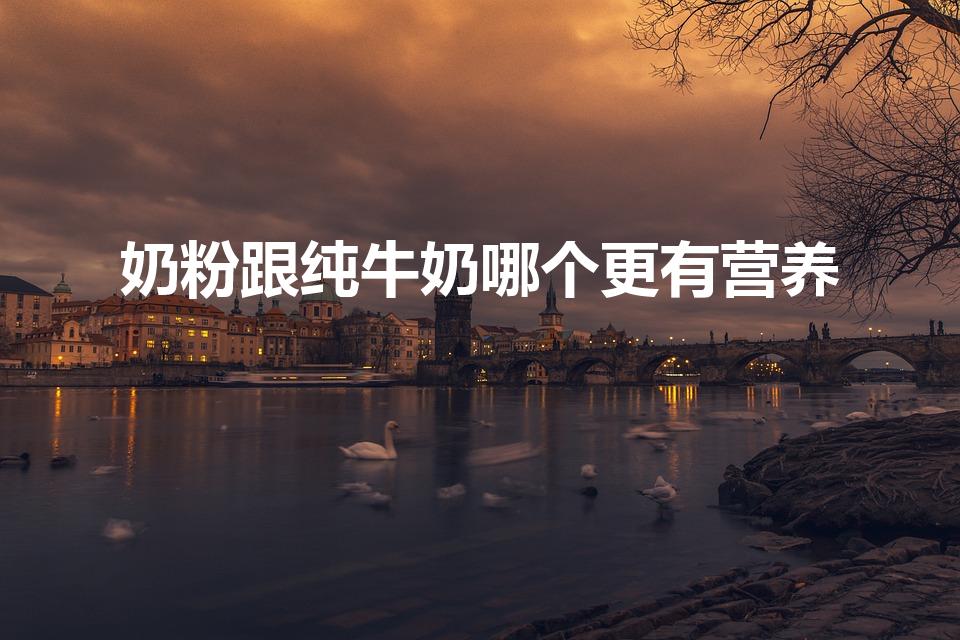 奶粉跟纯牛奶哪个更有营养（牛奶和奶粉哪个有营养哪个更好）