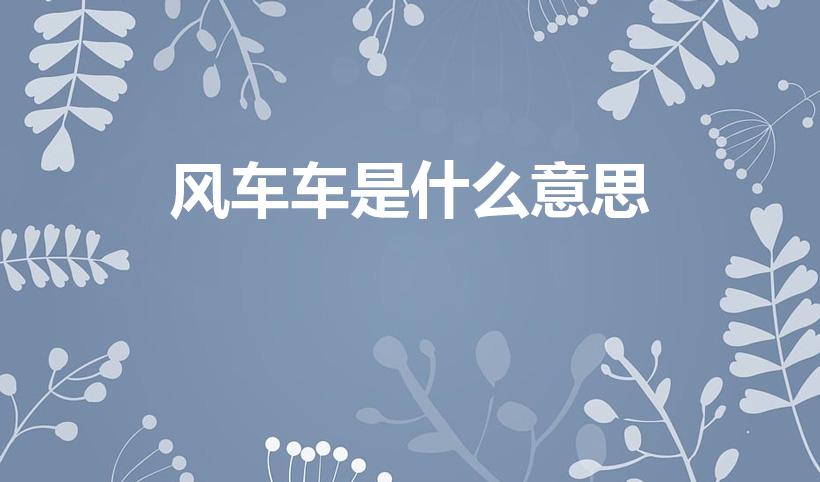 风车车是什么意思（四川话 “风车车 ”是什么意思）