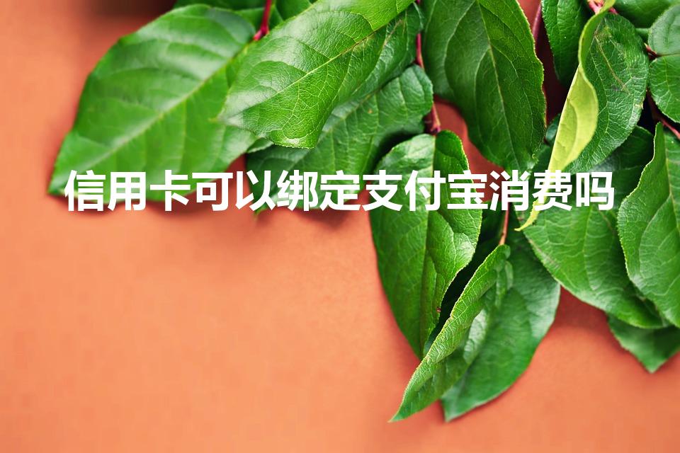 信用卡可以绑定支付宝消费吗（信用卡是否可以与支付宝绑定）