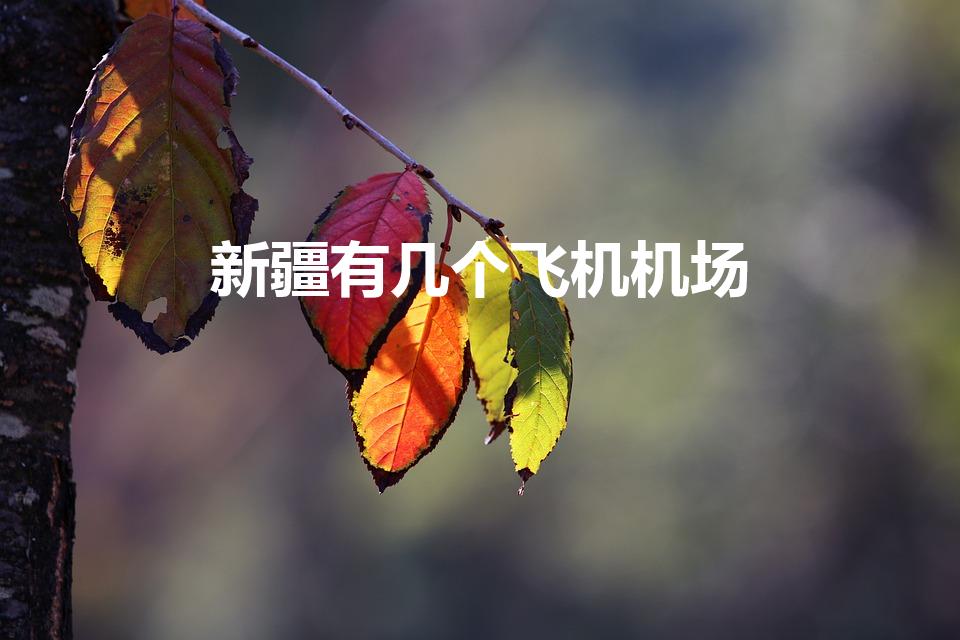 新疆有几个飞机机场（新疆机场有哪些机场）
