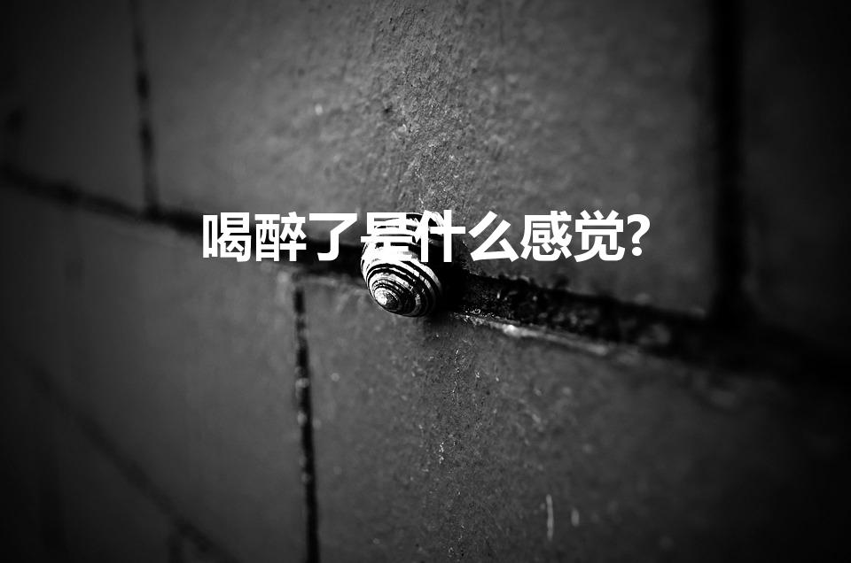 喝醉了是什么感觉?（喝醉酒是什么感觉）