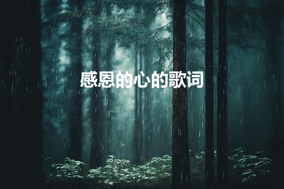 感恩的心的歌词（感恩的心歌词）