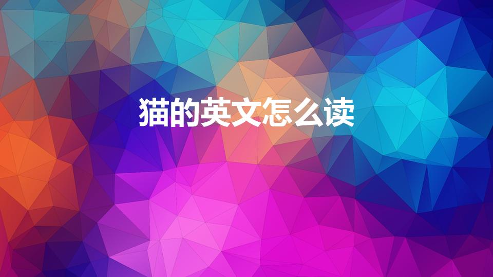 猫的英文怎么读(“猫”的英文读音是什么)