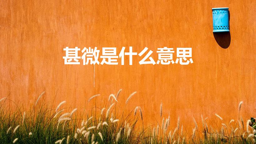 甚微是什么意思（甚微的近义词）
